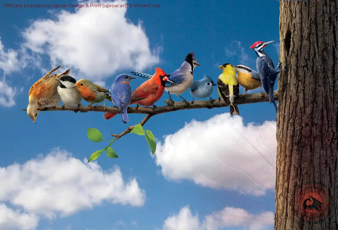 Birds Vincent Hie