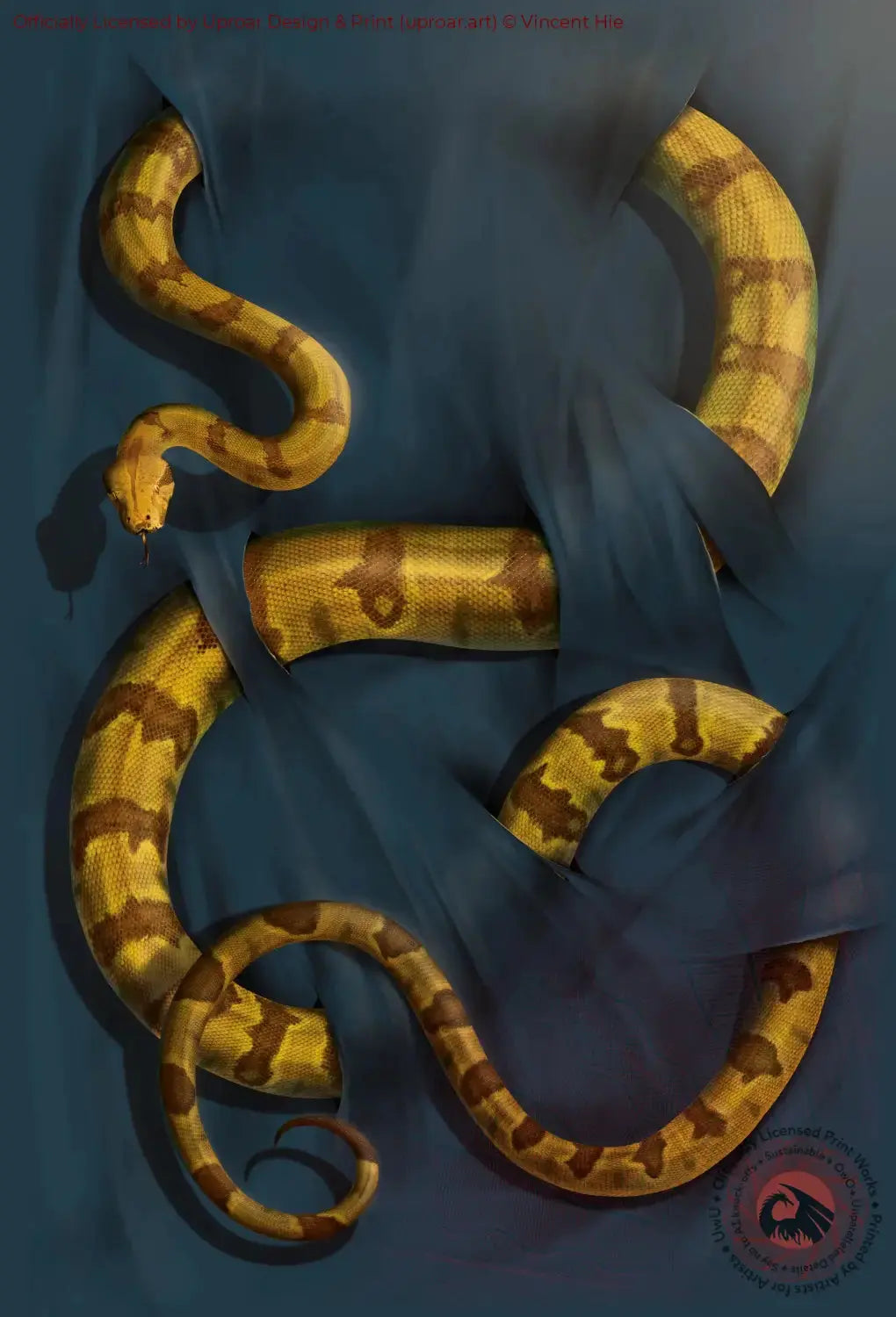 Boa Constrictor Vincent Hie