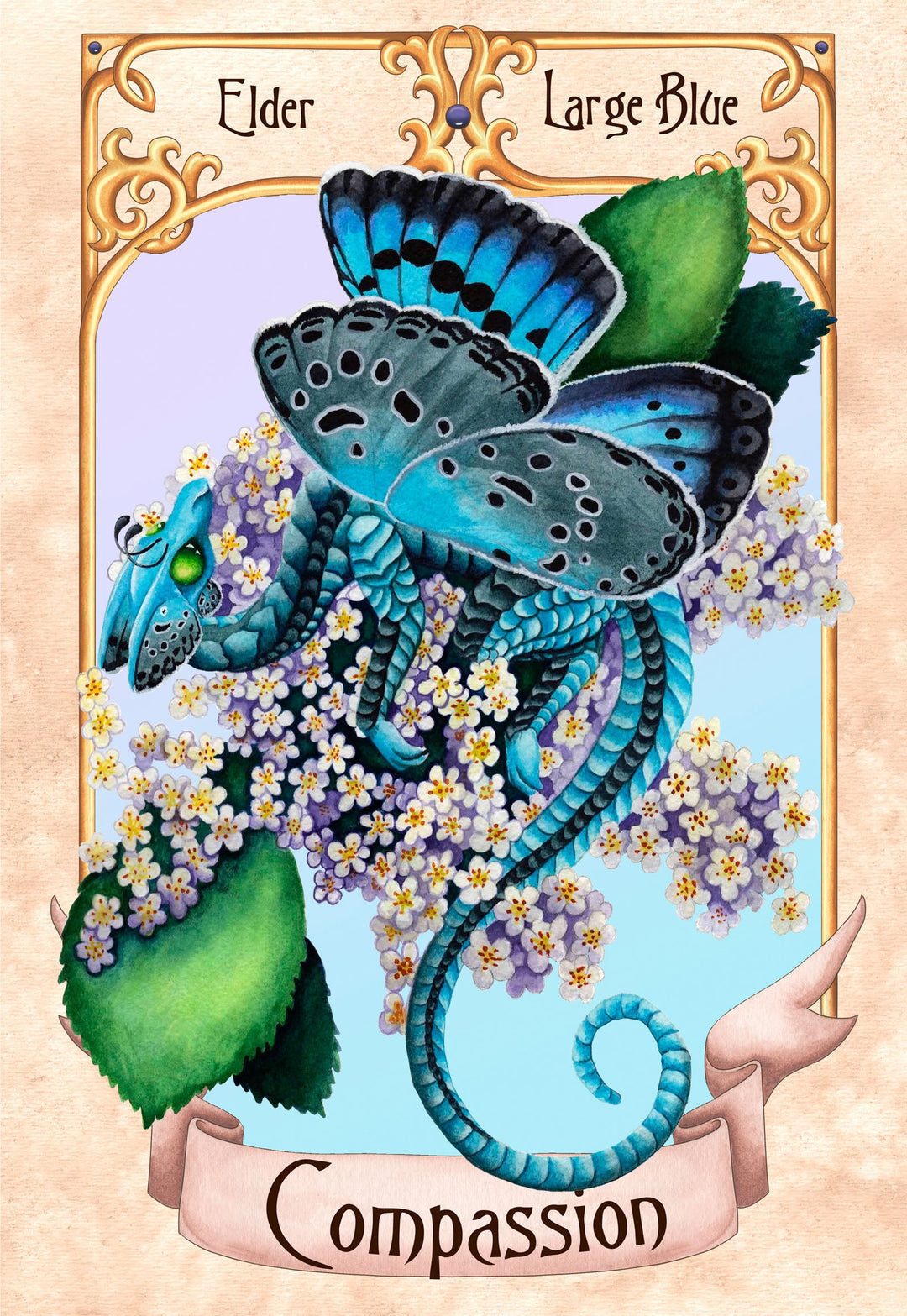 Compassion by Carla Morrow