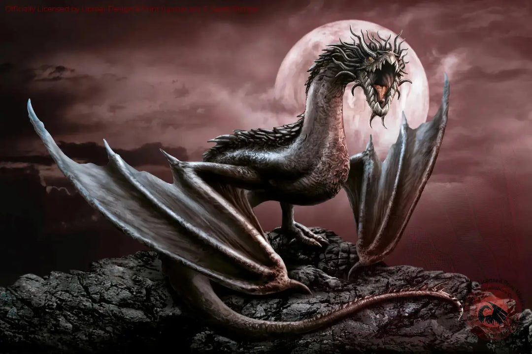 Darius Dragon Sarah Richter