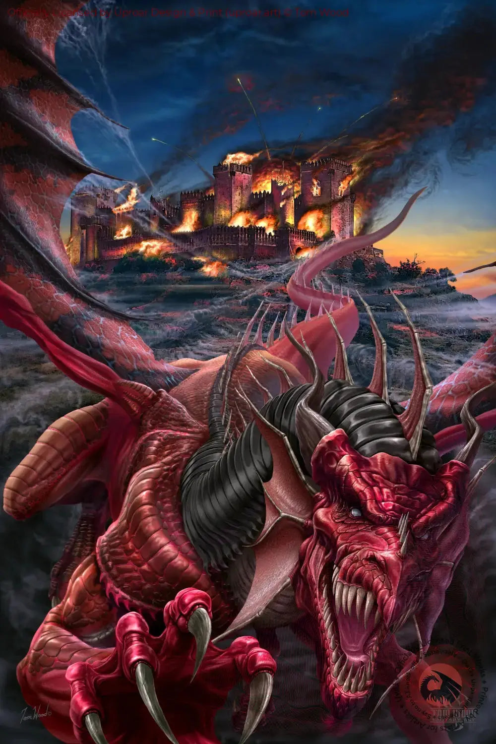 Dragon's Night Tom Wood