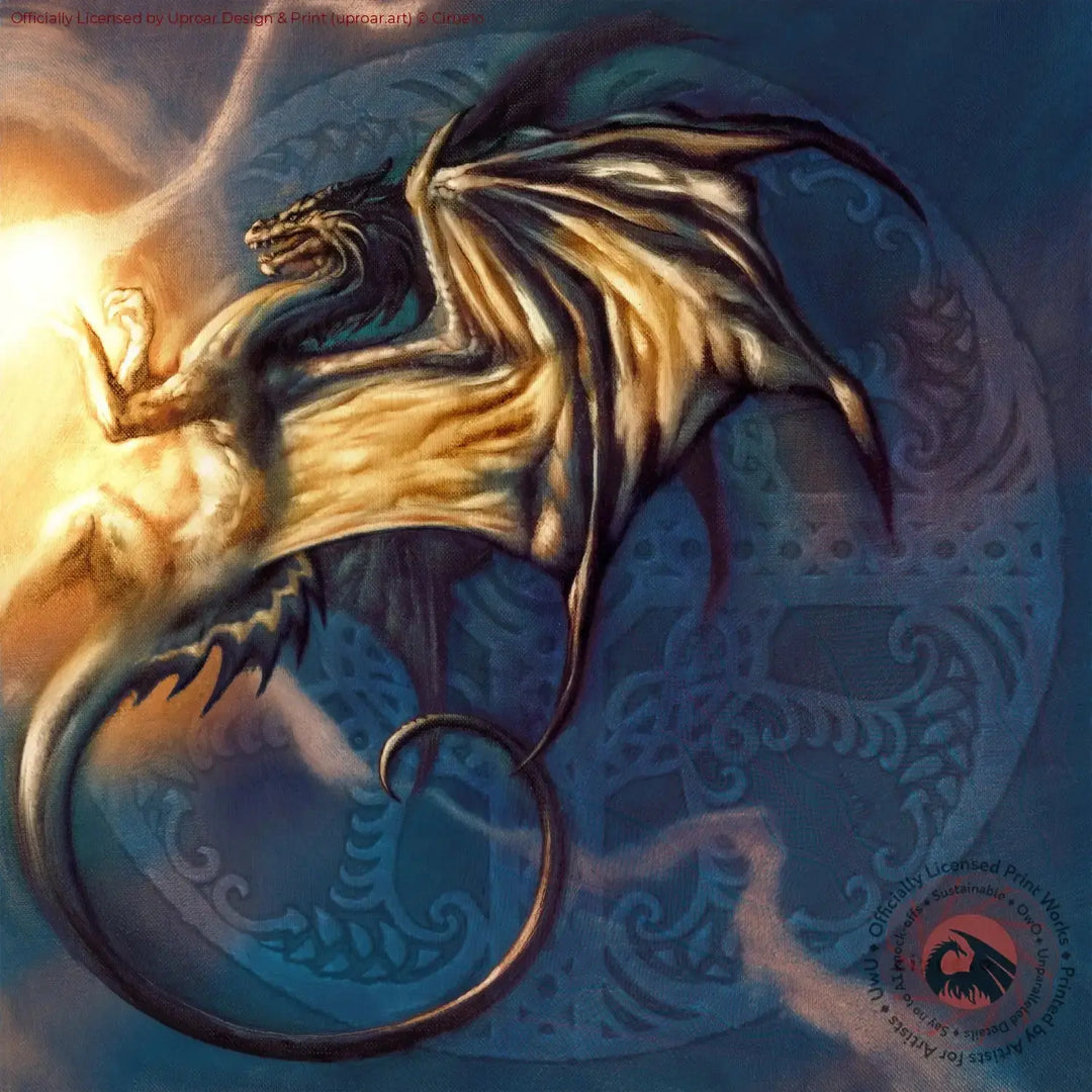Fire Dragon Shield Ciruelo