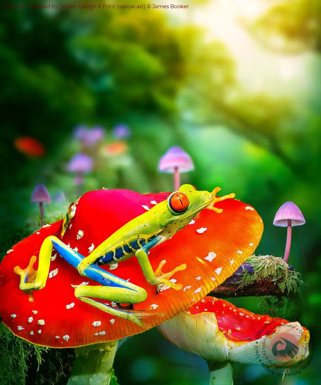 Red Eye Tree Frog James Booker