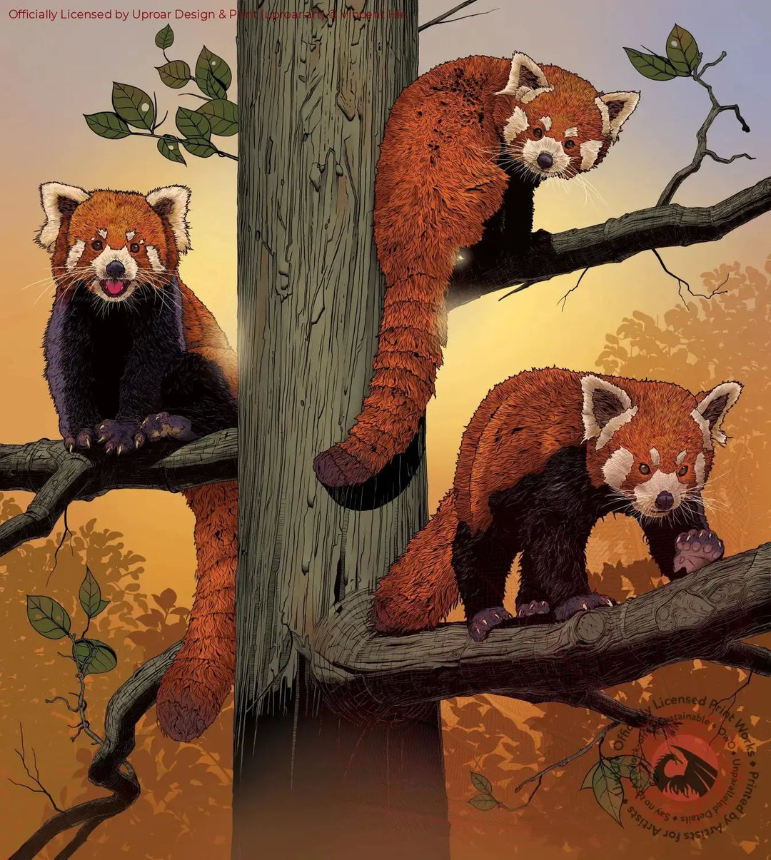 Red Pandas Vincent Hie