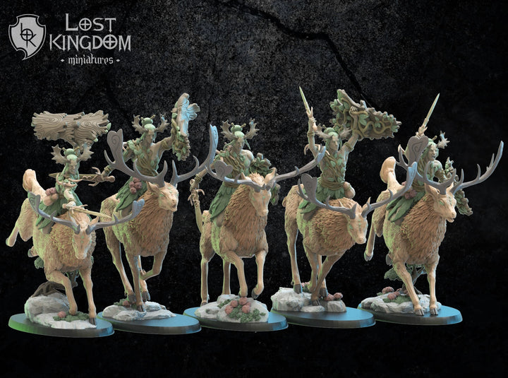 Shika Riders Lost Kingdom