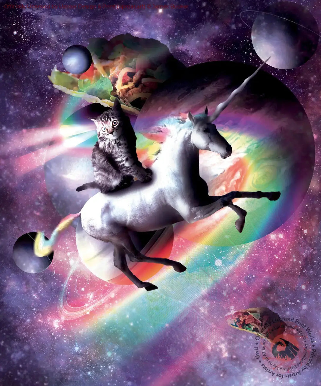 Space Cat Riding Unicorn - Laser, Tacos And Rainbow James Booker