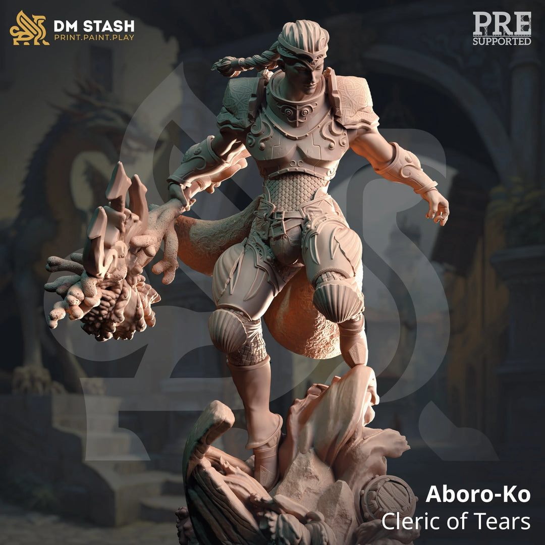 Aboro-Ko - Cleric of Tears Dungeon Master Stash
