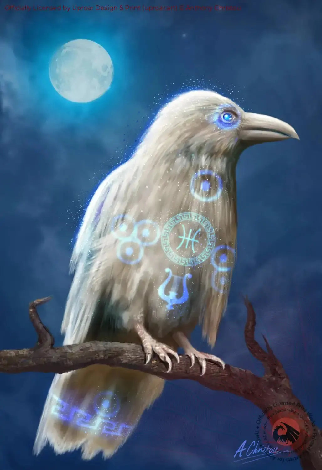 Apollos Crow Anthony Christou