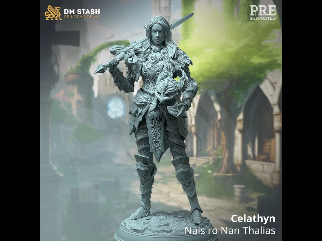 Celathyn - Nais ro Nan Thalias Dungeon Master Stash