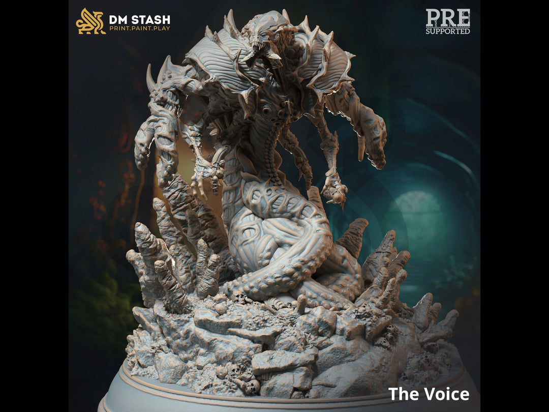 The Voice Dungeon Master Stash