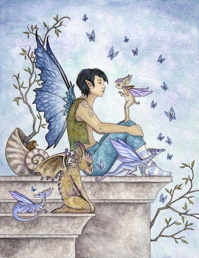 Fantasy fairy and dragon print artwork with butterflies