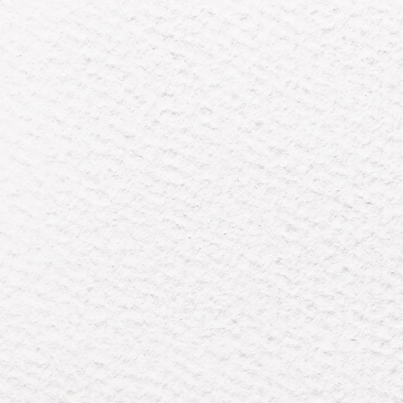 Albrecht Dürer Mould-made Paper, Hahnemühle (archival pigment prints) Uproar Design & Print