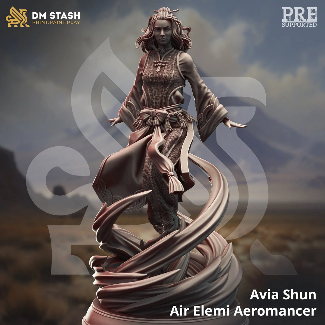 Avia Shun - Air Elemi Aeromancer Dungeon Master Stash
