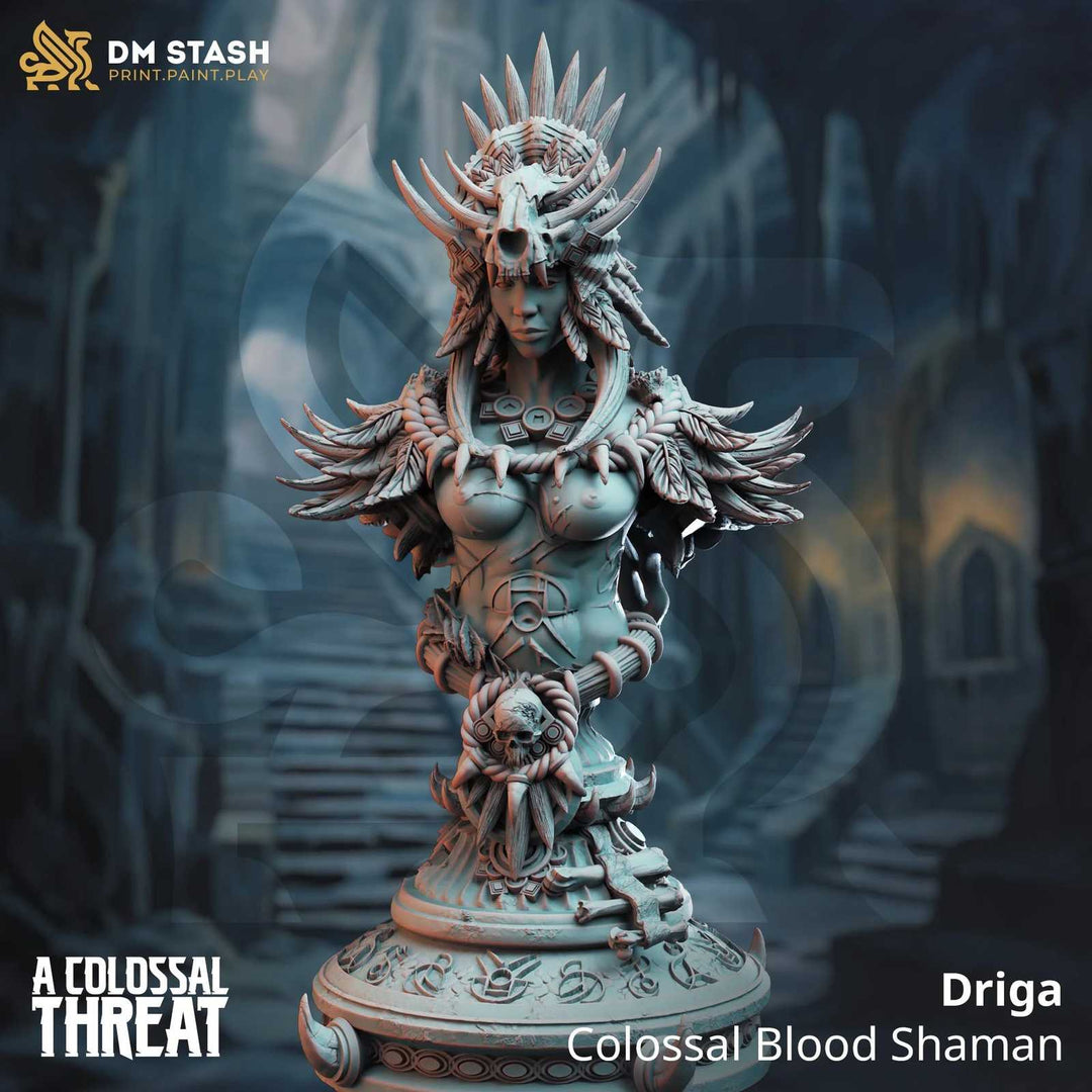 Bust of Driga Colossal Blood Shaman fantasy scale model