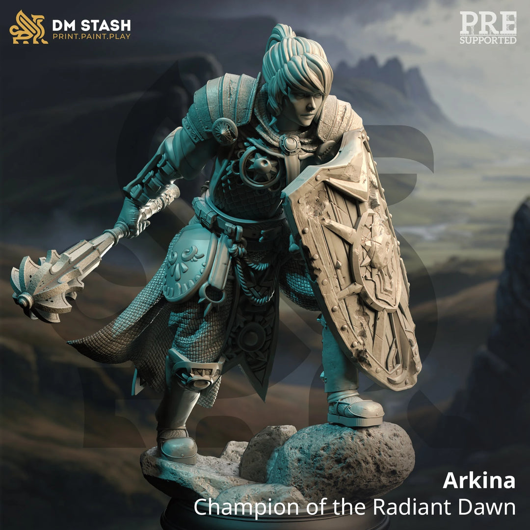 Champion of the Radiant Dawn - Arkina Dungeon Master Stash
