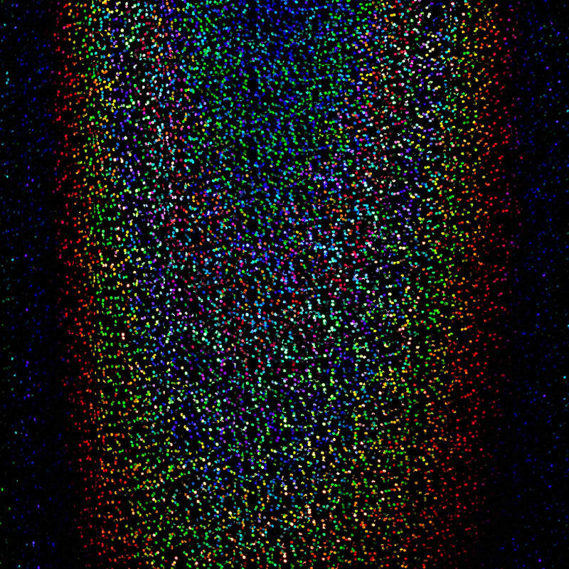 Black Confetti by Uproar Design & Print