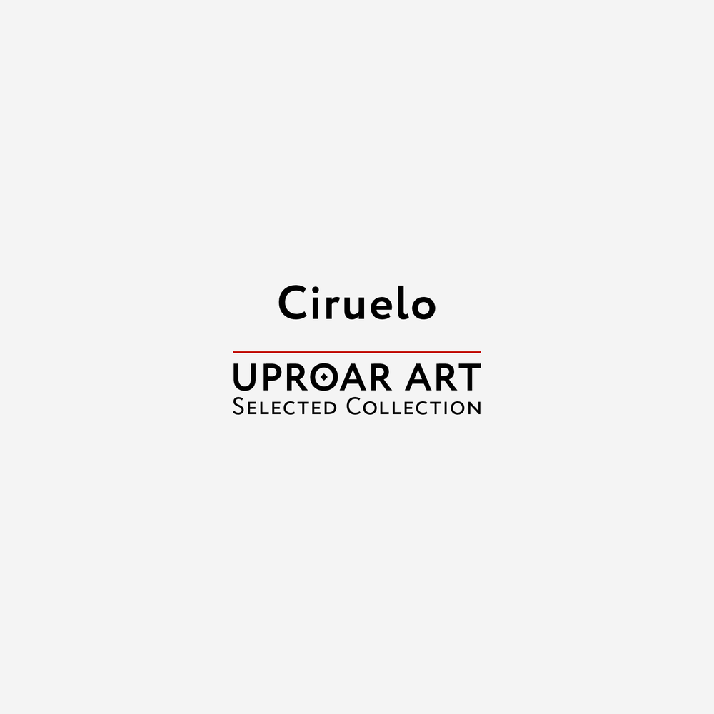 Cover of Ciruelo art prints collection featuring bold black text, red underline, and minimalist design on light gray background