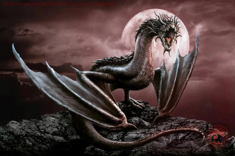 Darius Dragon Sarah Richter