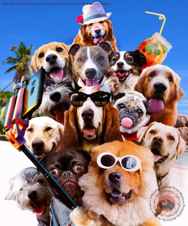 Dog selfie wearing glasses by James Booker on vibrant beach background