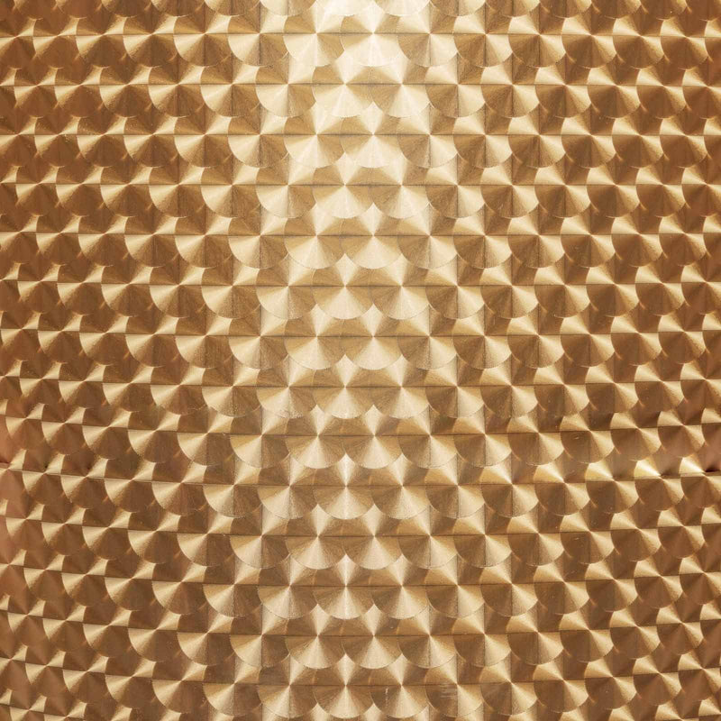 Gold Dragon Sacles by Uproar Design & Print