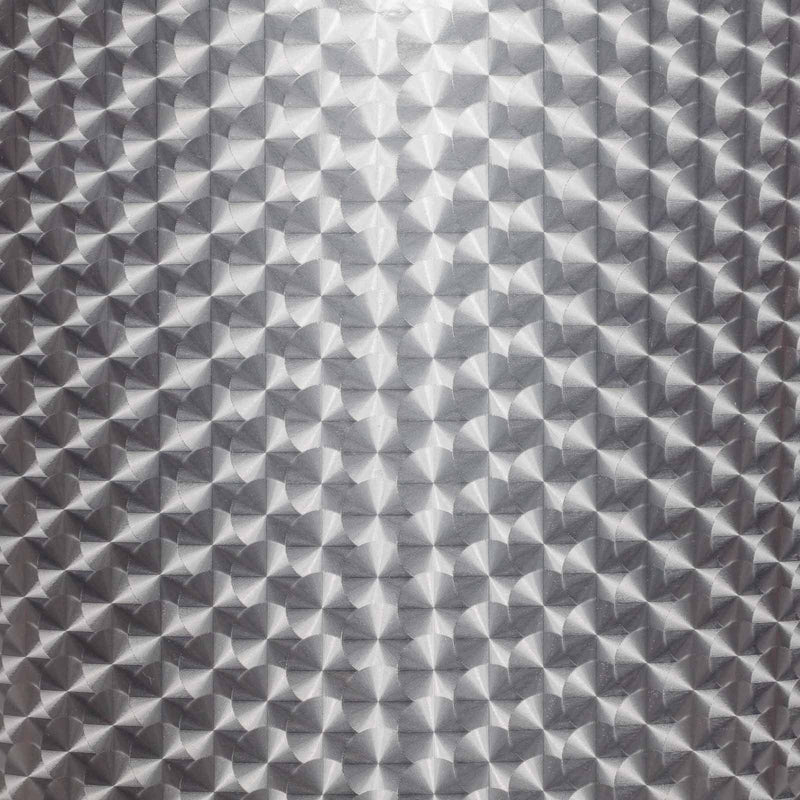 Silver Dragon Sacles by Uproar Design & Print