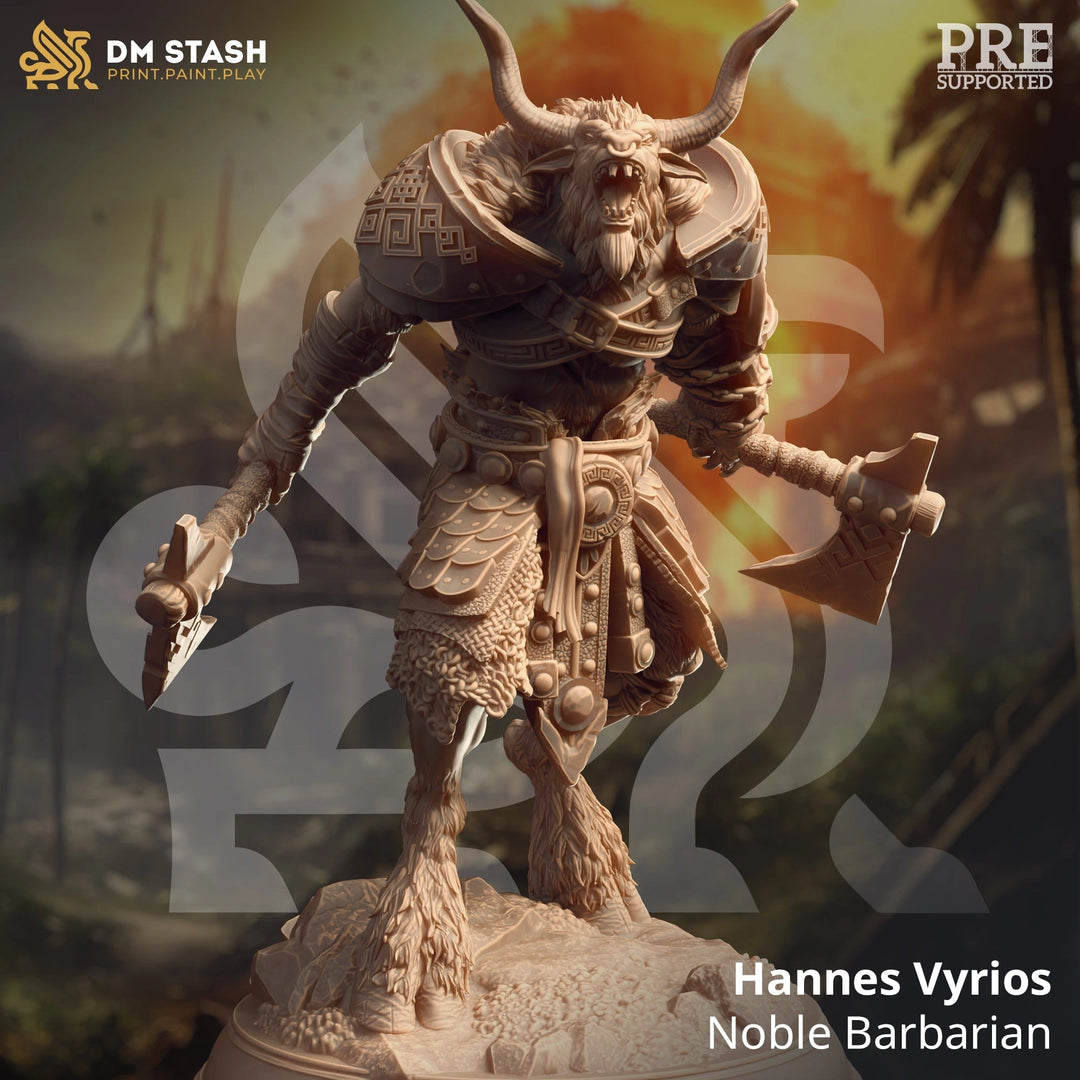 Hannes Vyrios - Noble Barbarian Dungeon Master Stash