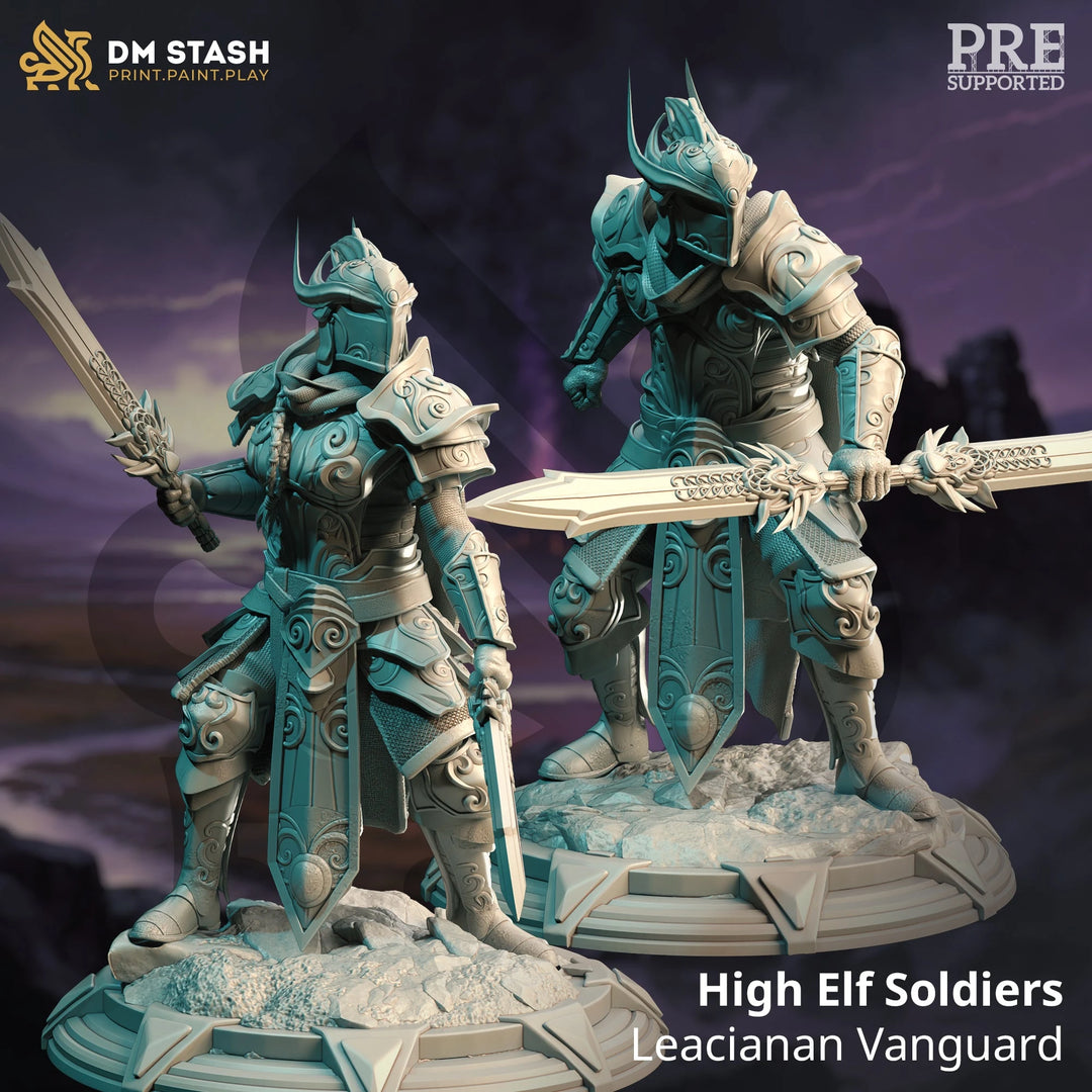 High Elf Soldiers - Leacianan Vanguard Dungeon Master Stash