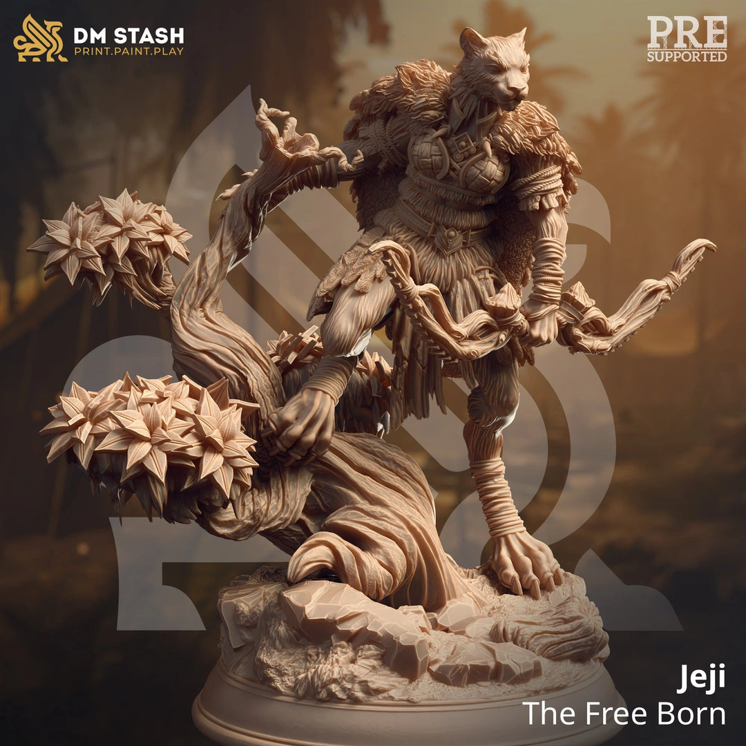 Jeji - The Freeborn Dungeon Master Stash