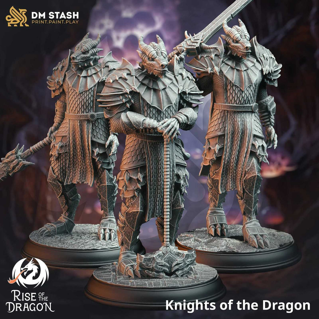 Knights of the Dragon - Rise of the Dragon Dungeon Master Stash