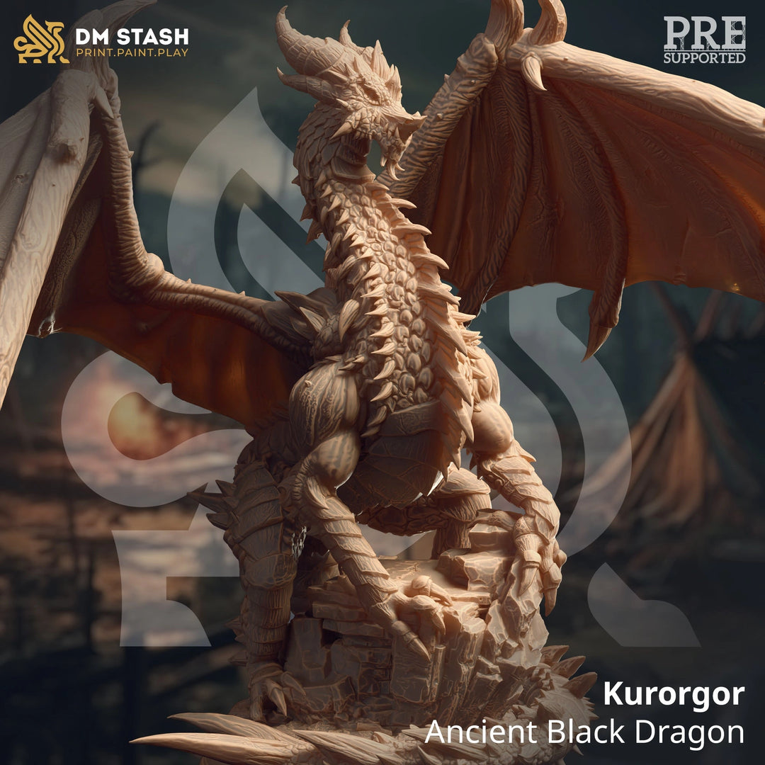Kurorgor - Ancient Black Dragon Dungeon Master Stash