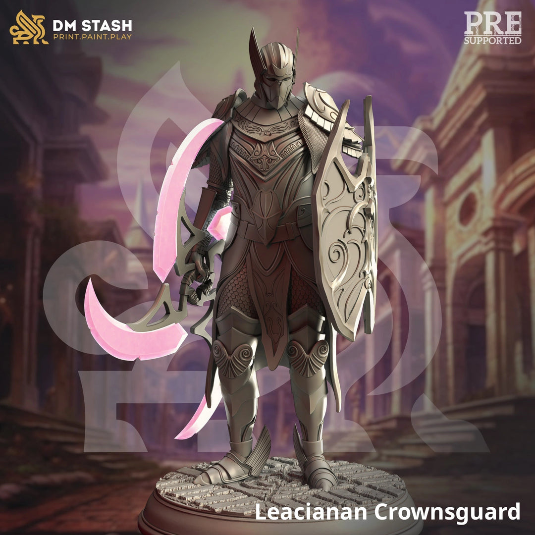 Leacianan Crownsguard - Guard Knight Dungeon Master Stash