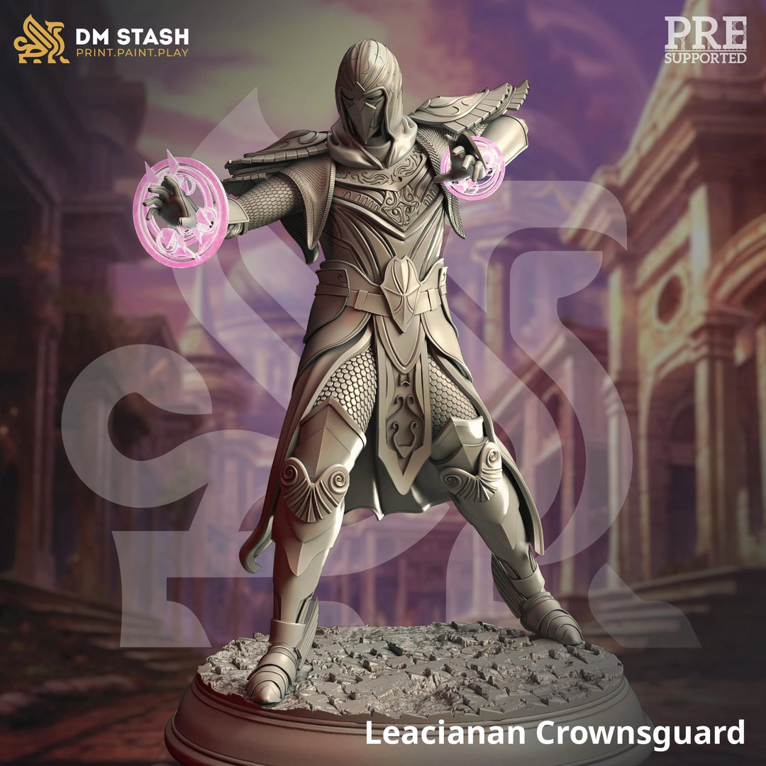 Leacianan Crownsguard - Mage Dungeon Master Stash