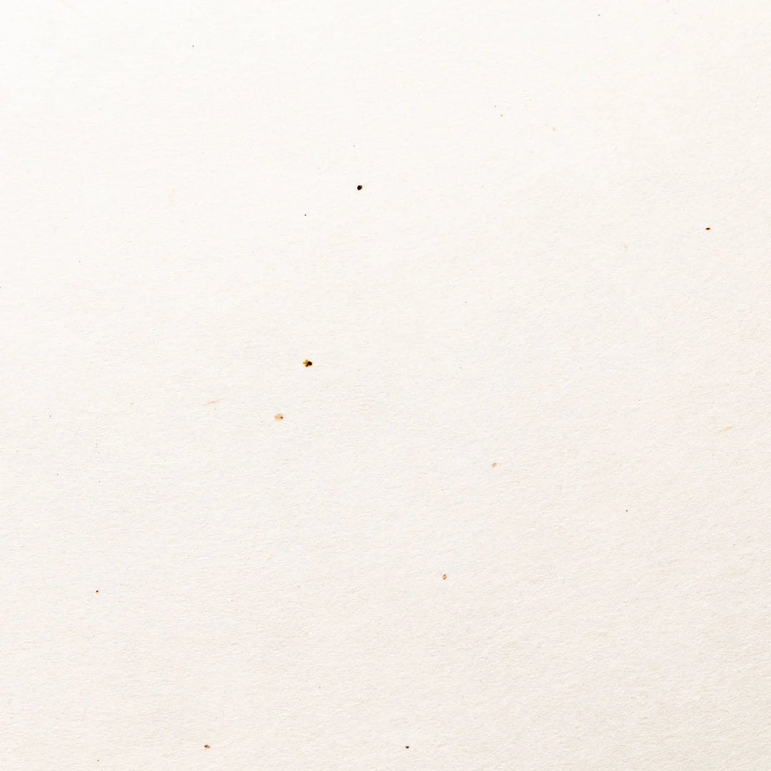 Mitsumata Double Layered Paper, Awagami (archival pigment prints) Uproar Design & Print