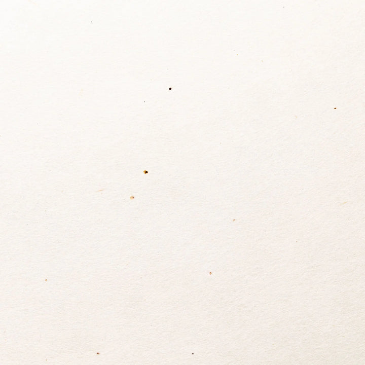 Mitsumata Double Layered Paper, Awagami (archival pigment prints) Uproar Design & Print