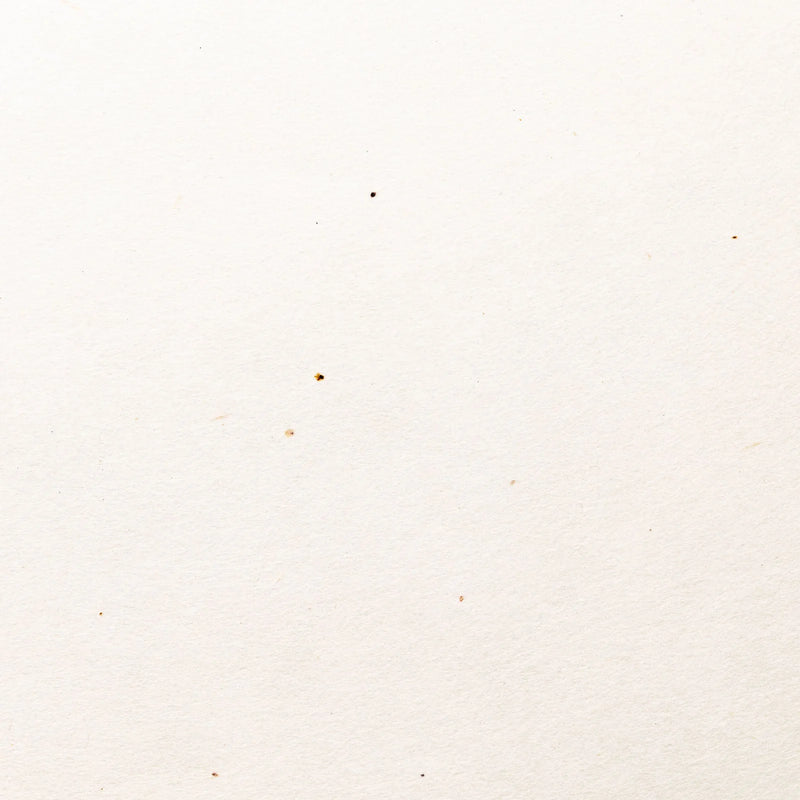 Mitsumata Double Layered Paper, Awagami (archival pigment prints) Uproar Design & Print