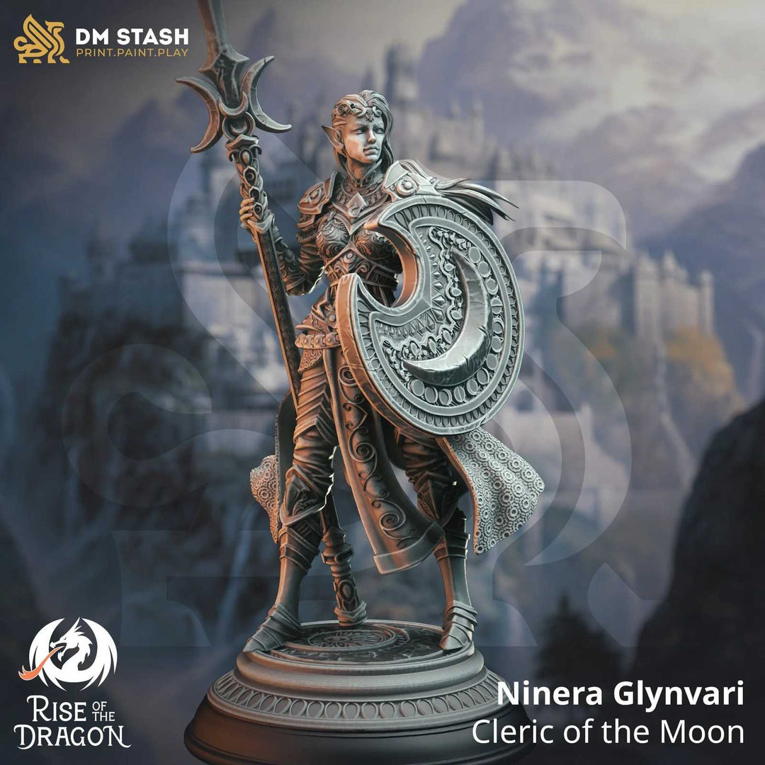 Ninera Glynvari fantasy scale model with armor and shield