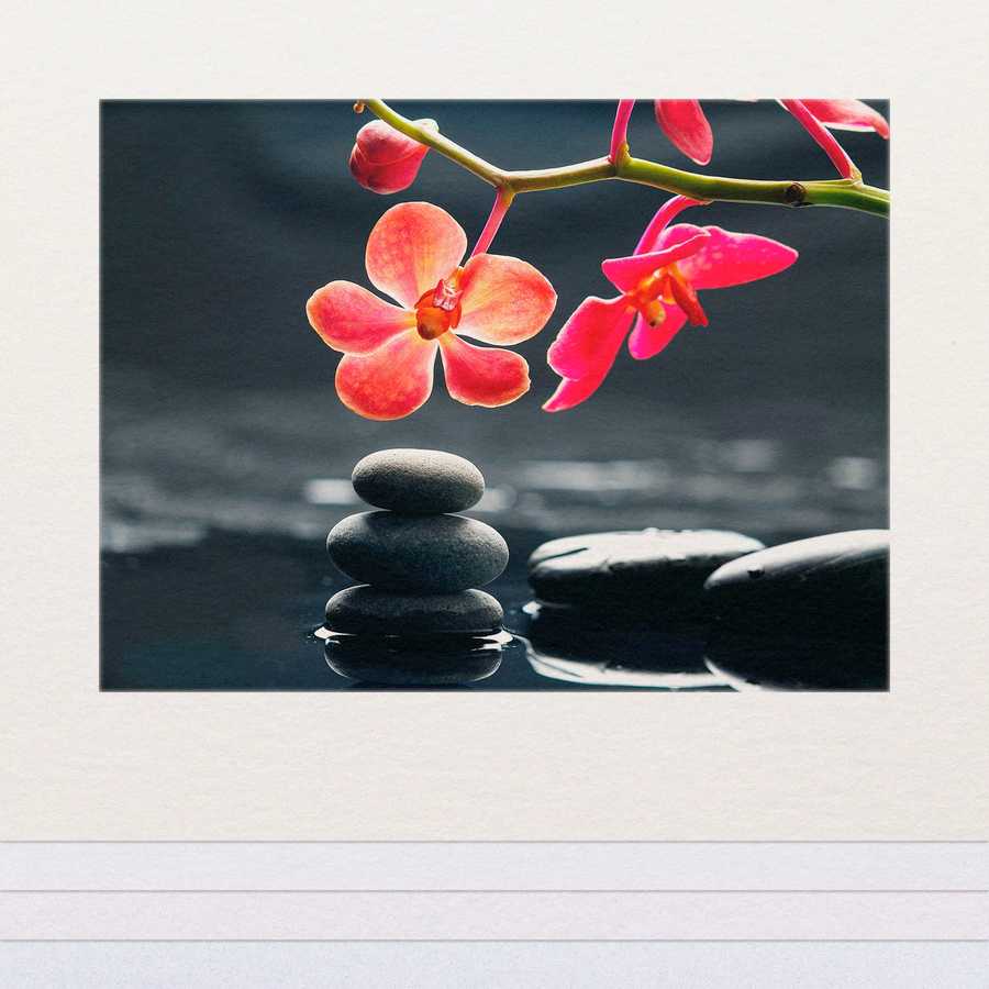 Pink orchids on black stones with a dark background