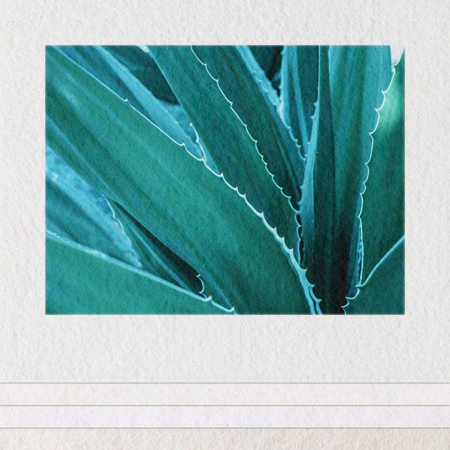 Close-up of a green plant leaf with a textured background