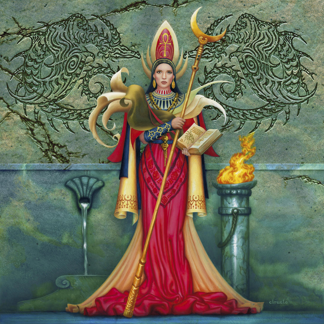 Papisa Drako Ciruelo