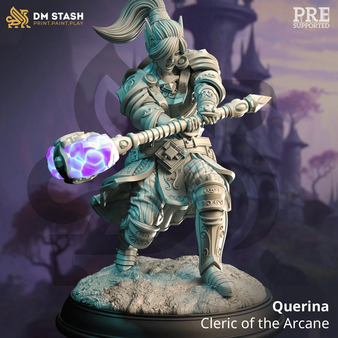 Querina - Cleric of the Arcane Dungeon Master Stash