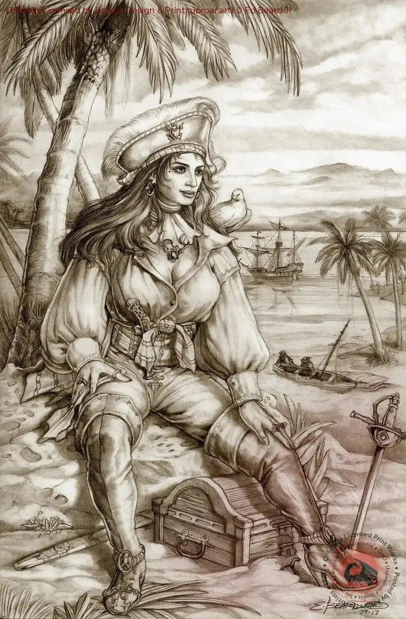 Pirate woman with hat and parrot on shoulder, tropical island with palm trees and ships, vintage art print