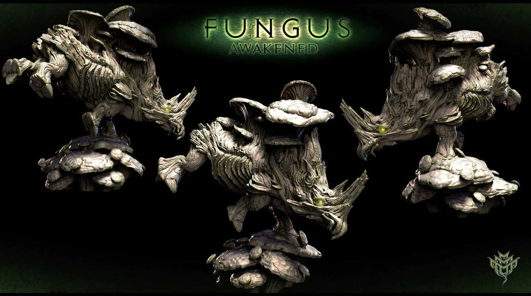 Fungus Awakened scale model set for fantasy gaming