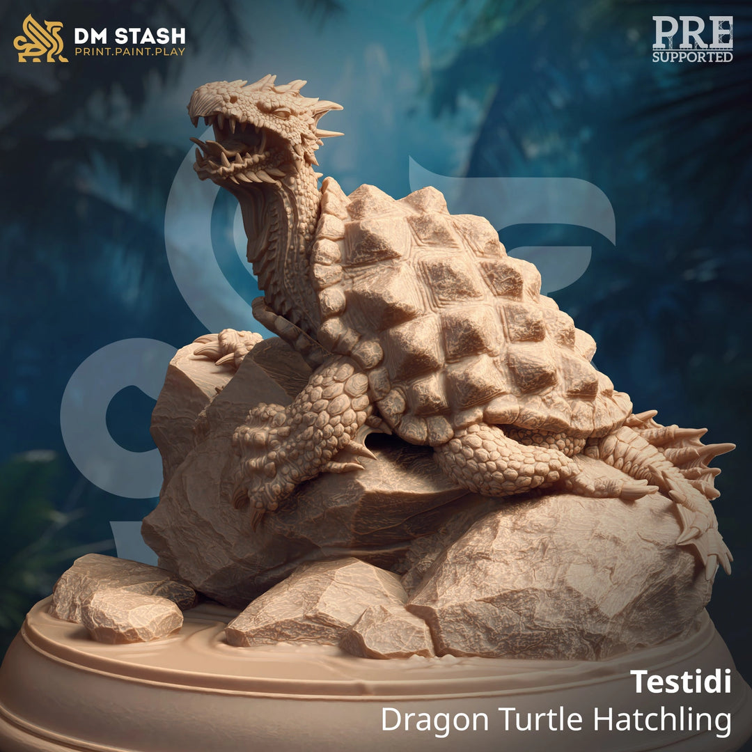 Testidi - Dragon Turtle Hatchling Dungeon Master Stash