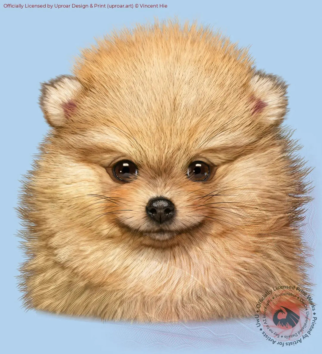 Toasted Marshmellow Pomeranian Puppy Vincent Hie
