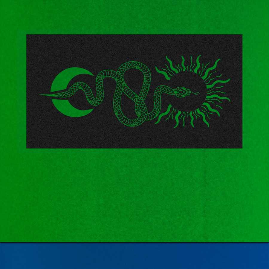 Green snake design on a black rectangular patch against a green background