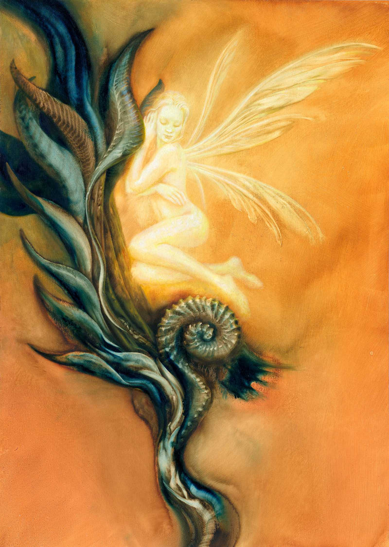 Fairie by Ciruelo open edition art print with fairy, fantasy art, decorative poster