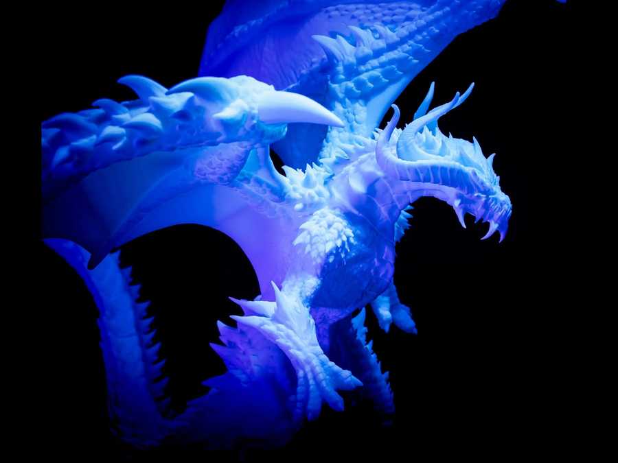 Bahamut - Uproar Design & Print