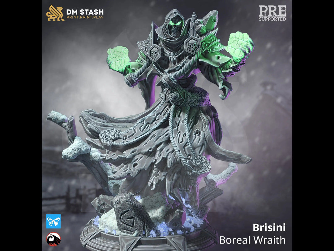 Brisini - Boreal Wraith Dungeon Master Stash