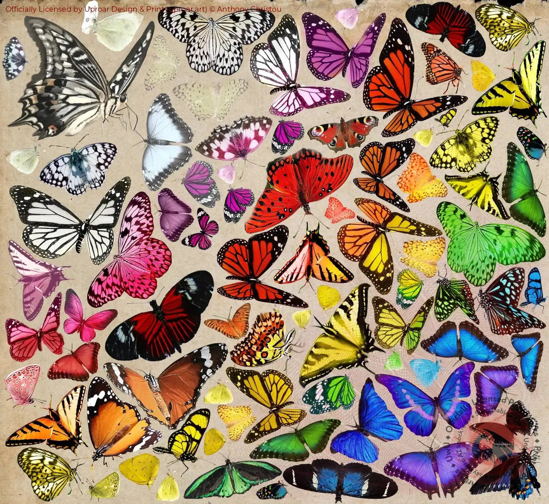 Butterfly Cluster Anthony Christou