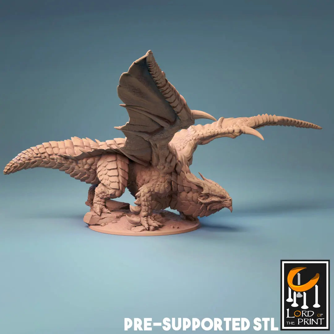 Copper Dragon - (Pre 2022) by Lord of the Print | Printing Services by Uproar Design & Print